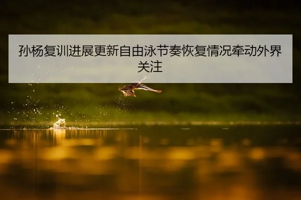 孙杨复训进展更新自由泳节奏恢复情况牵动外界关注